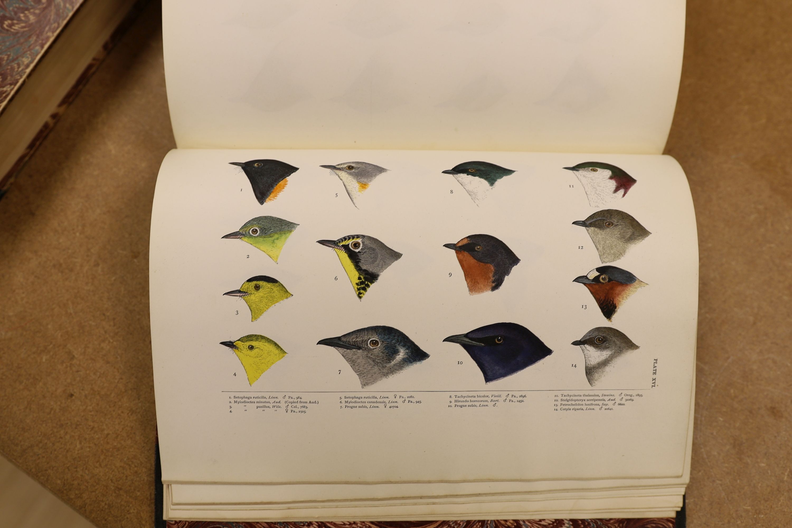 Baird, S.F. & Others - A History of North America Birds: Land Birds, 3 vols., coloured plates and other illus.; old half leather and marbled boards, gilt tops and marbled e/ps., 4to.